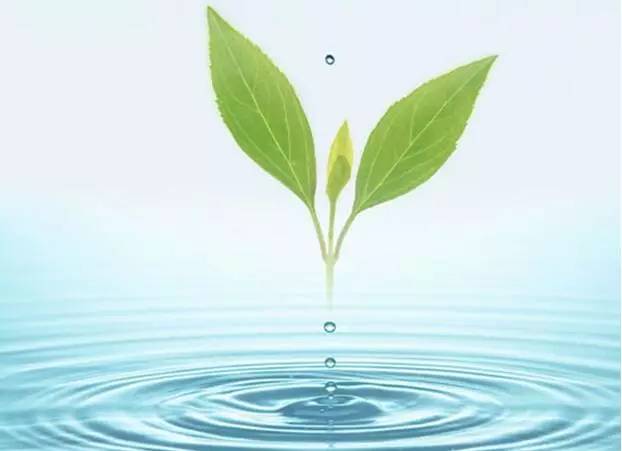 麻豆APP下载入口免费垃圾需要制度性回收