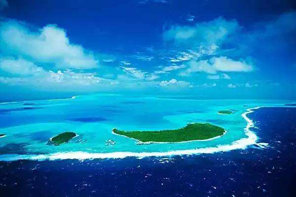 沪上首创无害化麻豆APP下载入口免费垃圾处理设备