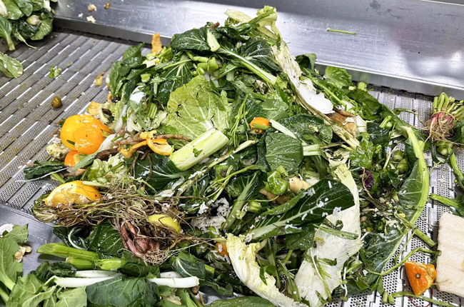 国产污污污在线观看麻豆垃圾怎么发酵成有机肥料