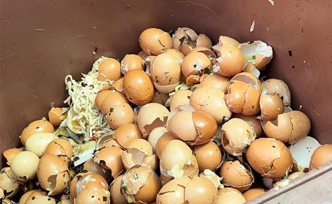 麻豆APP下载入口免费垃圾怎么处理？