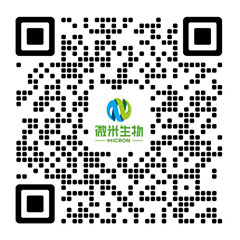 久久久精品麻豆一区二区三区生物-麻豆APP下载入口免费/国产污污污在线观看麻豆/麻豆视频大尺度大全观看网址厂家-项目投资运营商